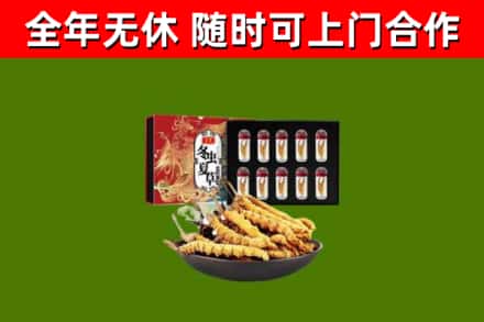 潮安回收冬虫夏草价格