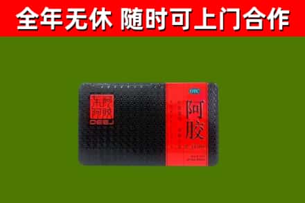 潮安回收阿胶